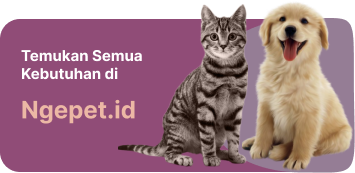 Ngepet.id